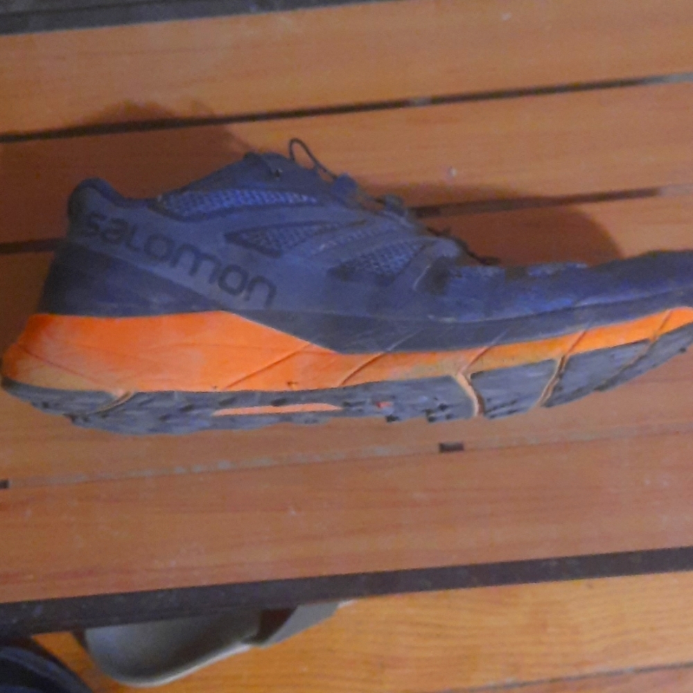 Salomon running shoes